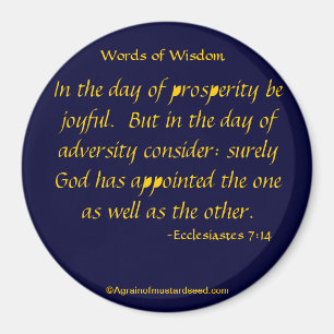 In the day of prosperity Bible Quotes Magnet