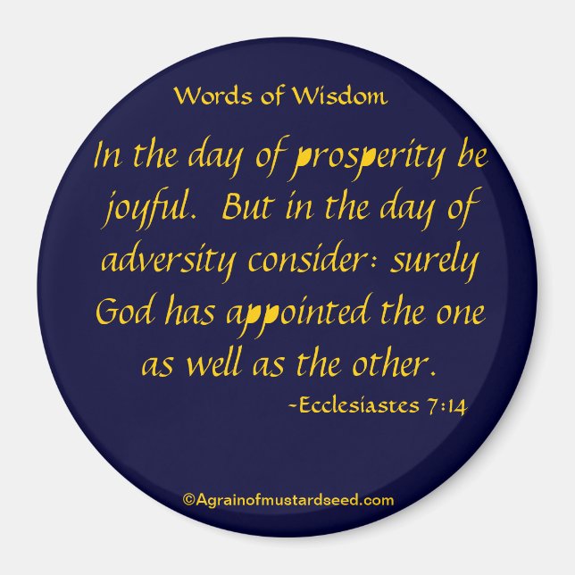 In the day of prosperity Bible Quotes Magnet (Front)