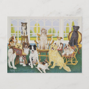 In the Dog House Postcard
