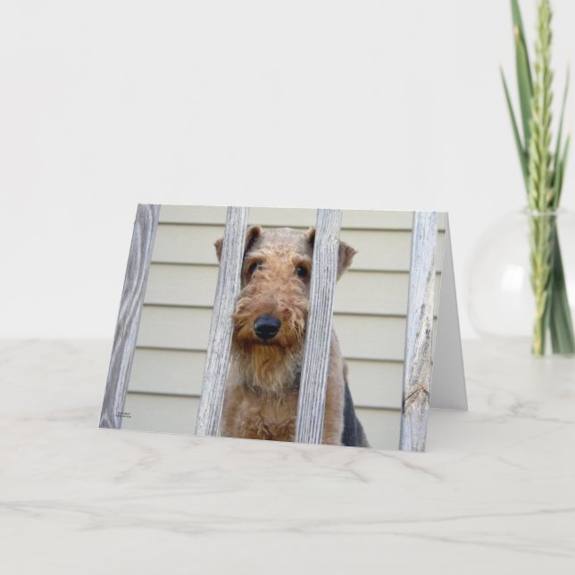 "In the Doghouse" Card (Front)