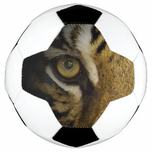 In the Eye of a Tiger Football