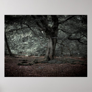 In the fairytale forest  poster