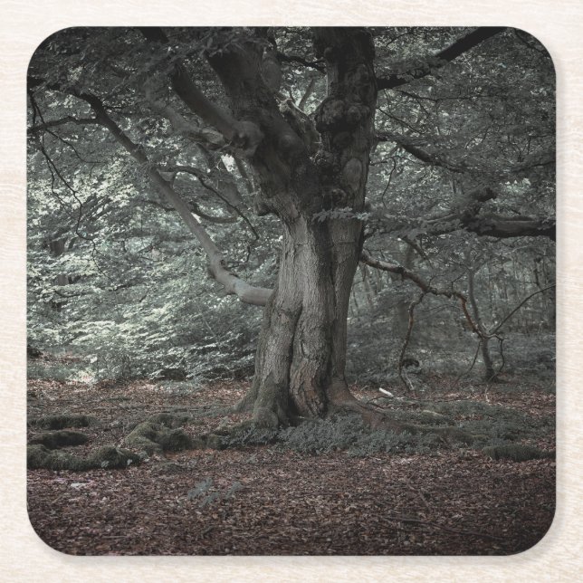 In the fairytale forest     square paper coaster (Front)