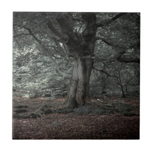 In the fairytale forest     tile