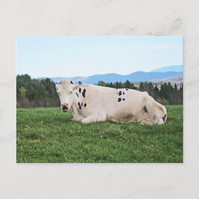 In the Field Postcard (Front)