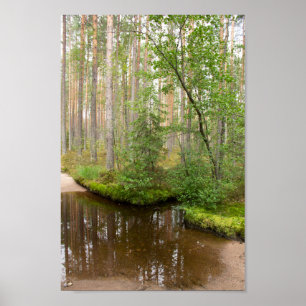In the forest after the rain poster