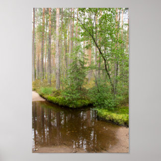 In the forest after the rain poster