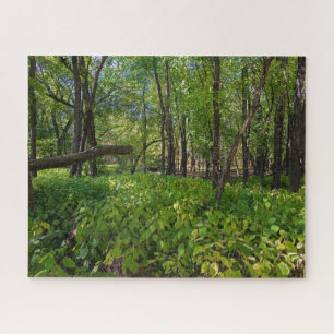 in the forest at fort snelling state park jigsaw puzzle
