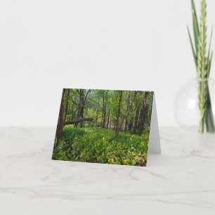 in the forest at fort snelling state park thank you card