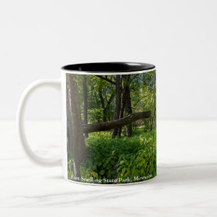 in the forest at fort snelling state park Two-Tone coffee mug