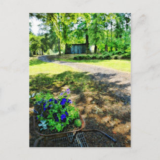 In the Forest Postcard