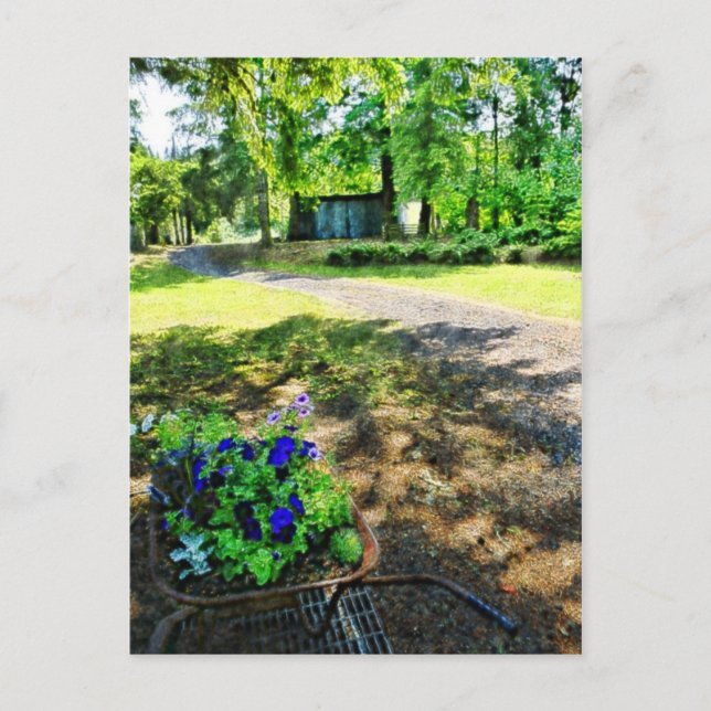 In the Forest Postcard (Front)