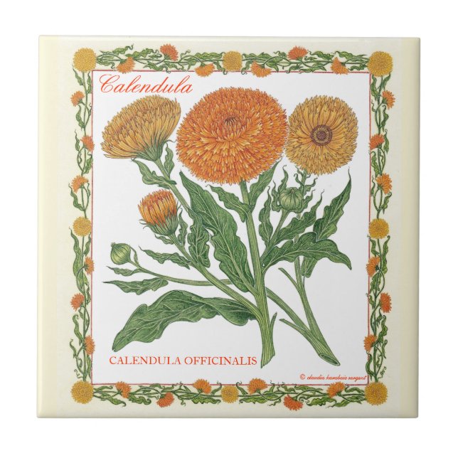 In the Garden ~ Calendula Tile (Front)