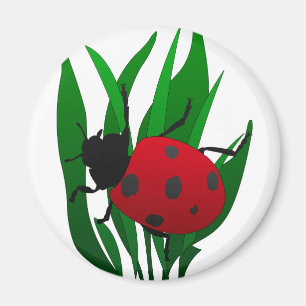 In the garden magnet