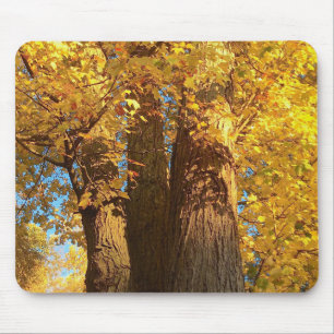 In the Glow of Golden Maple Leaves - Mouse Mat