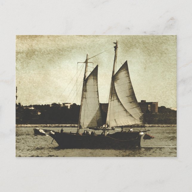 In The Harbour Postcard (Front)