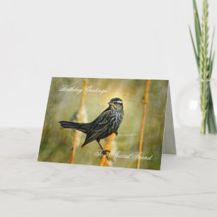 In the Limelight Birthday Greeting Card