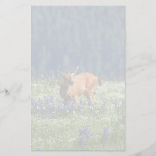 In the Meadow Stationery