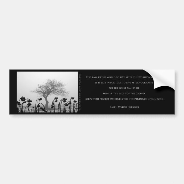 "In the Midst of the Crowd" Bumper Sticker (Front)