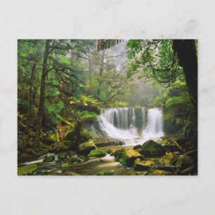 in the Mount Field National Park Postcard