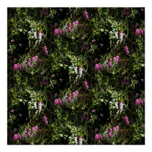 In the mountains where the Sweet Peas grow.... Poster