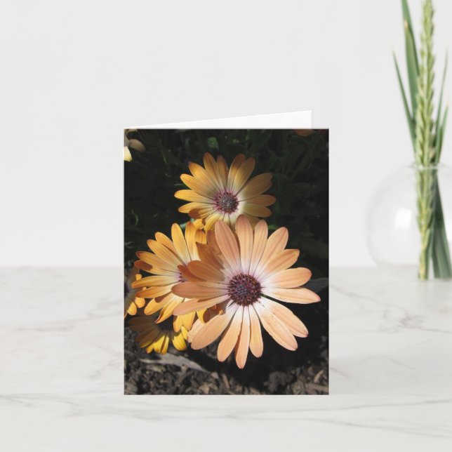 In the Pale Card (Front)