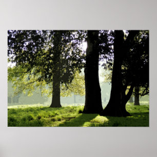 IN THE PARK POSTER