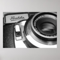 In the Picture