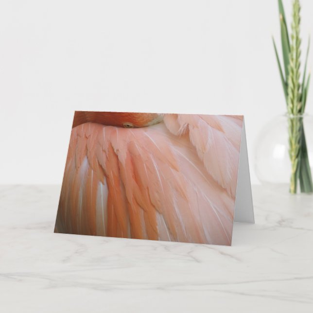 In the Pink Card (Front)