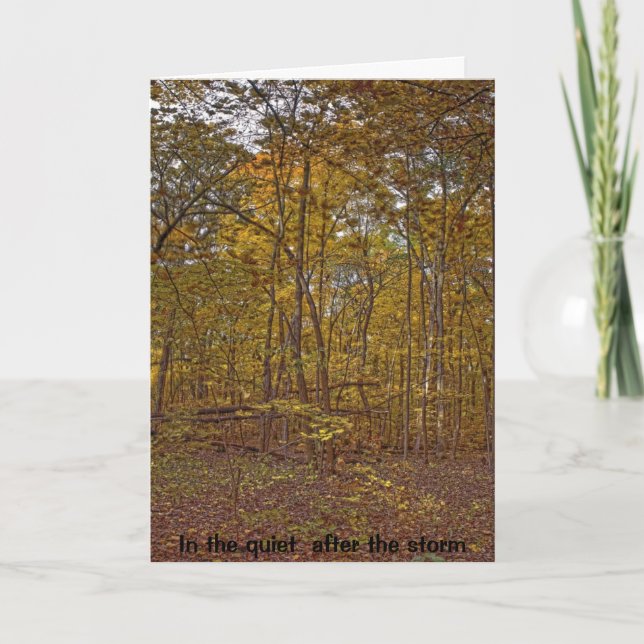 In the quiet  after the storm sympathy card (Front)