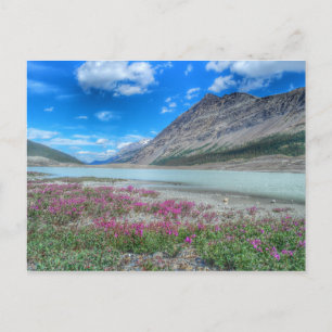 In the Rocky Mountains of banff Postcard