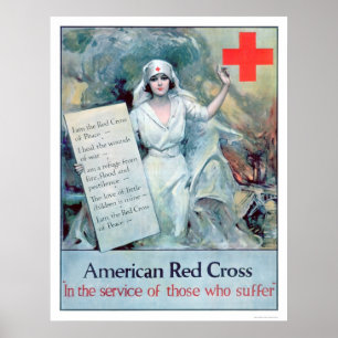 In the Service of those who Suffer (US00018) Poster