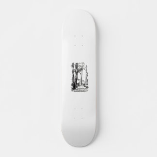 in the shadow of the woods skateboard
