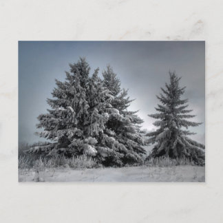 In The Spirit OF winter Postcard