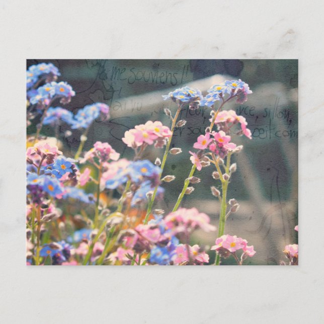 In The Spring Garden Postcard (Front)