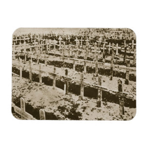 In the West nothing New: A German cemetery in Fran Magnet