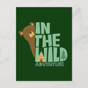 In The Wild Adventure Bear Postcard