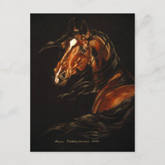 In the Wind Postcard