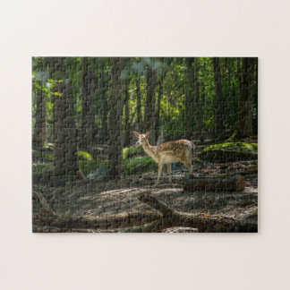 In the Woods Jigsaw Puzzle