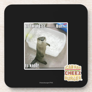 In there? Is Kold! Coaster