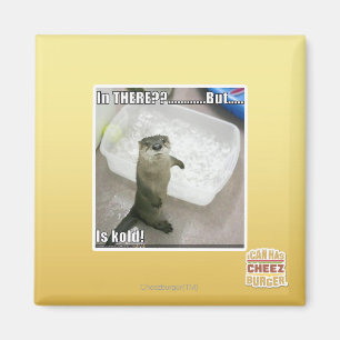 In there? Is Kold! Magnet