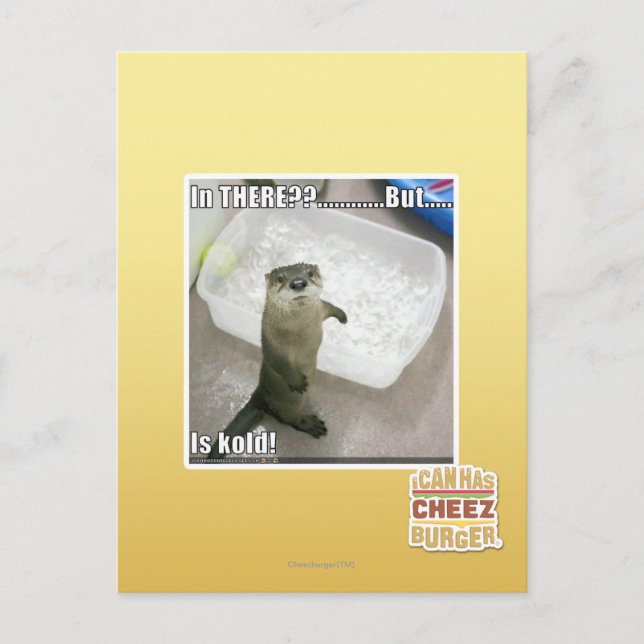 In there? Is Kold! Postcard (Front)