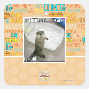 In there? Is Kold! Square Sticker