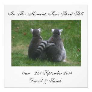 In this moment, time stood still - Lemur Love Photo Print