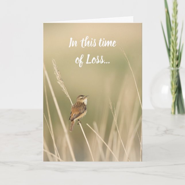 In this Time of Loss, Scripture Comfort Bird Card (Front)
