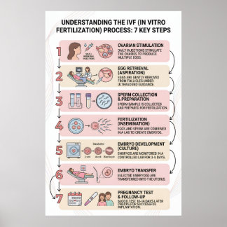 In Vitro Fertilisation (IVF) Process Explained: 7 Poster
