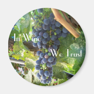 In Wine We Trust Magnet