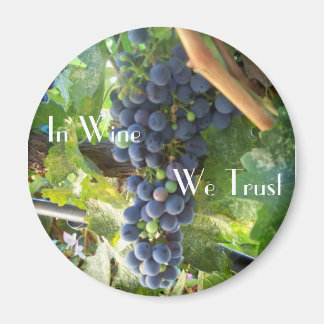 In Wine We Trust Magnet