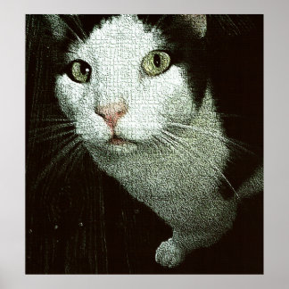 In Your Face Bob Poster