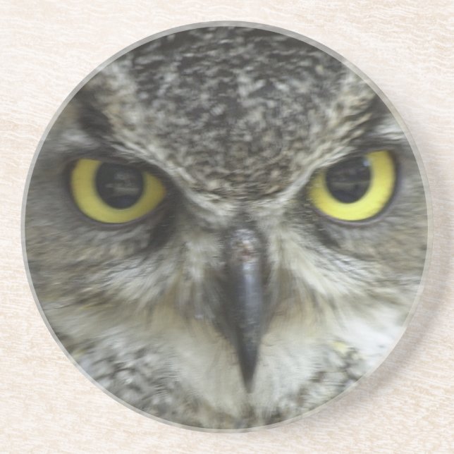 In Your Face Owl Coaster (Front)